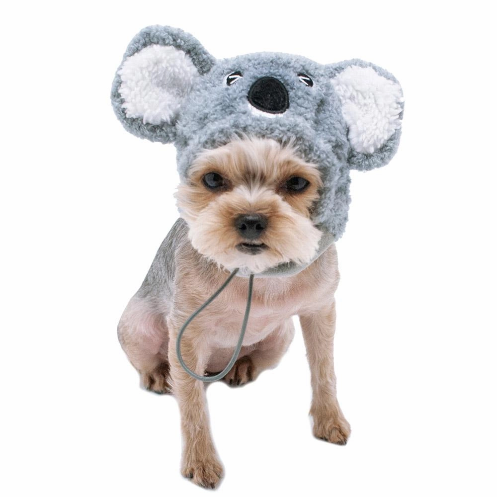 Koala Dog Hat