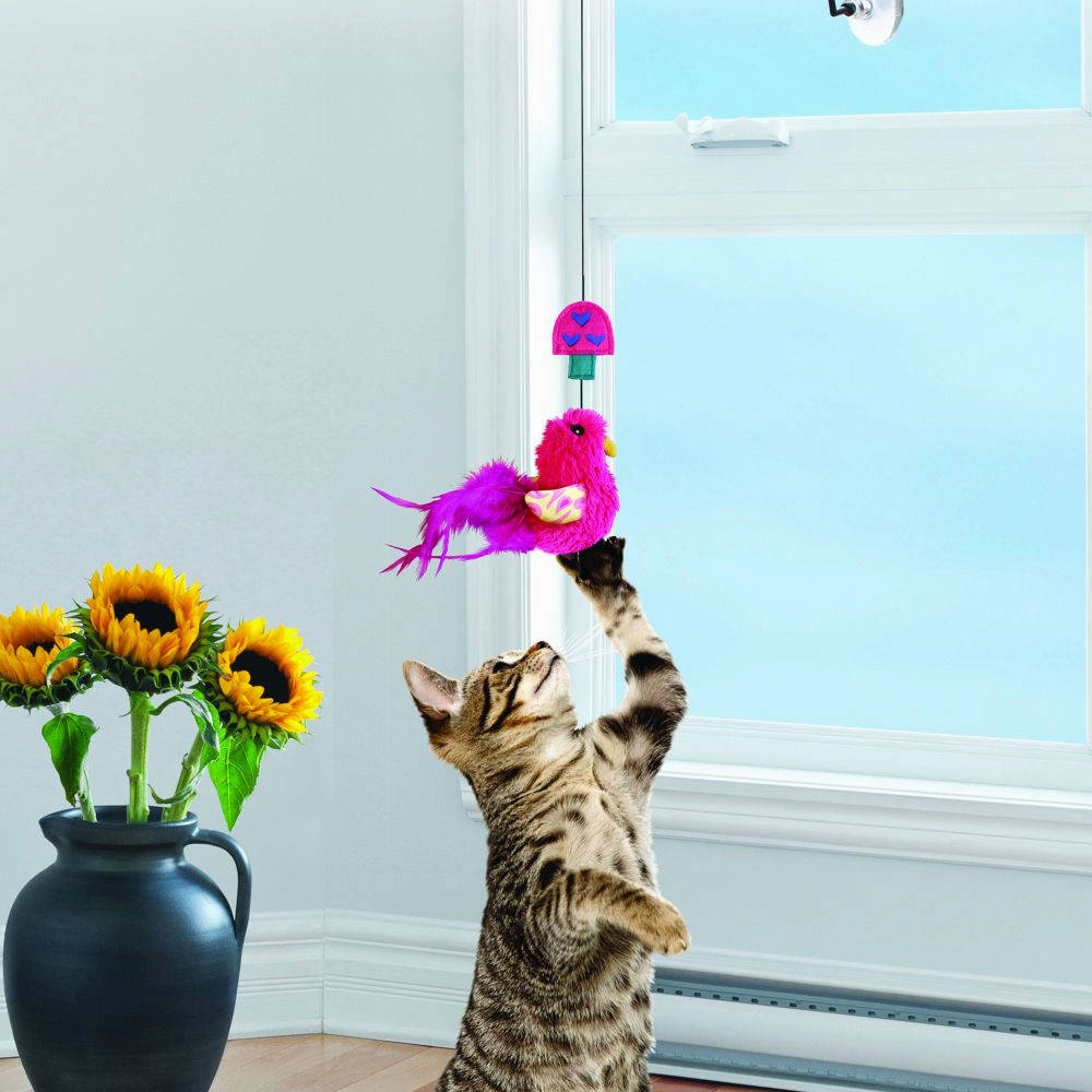 KONG Connects Window Teaser Cat Toy