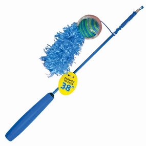 Kong Fishing Pole Teaser Cat Toy cat treats catnip grass for cats organic cat grass cat grass seeds
