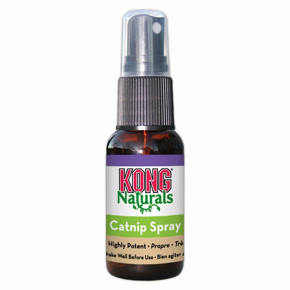 Kong Naturals Catnip Spray cat treats catnip grass for cats organic cat grass cat grass seeds