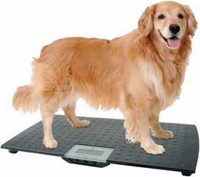 Large Digital Pet Scale plush dog toys fluffy dog toy dog cuddle toy dog toy set stuffed toy for dogs