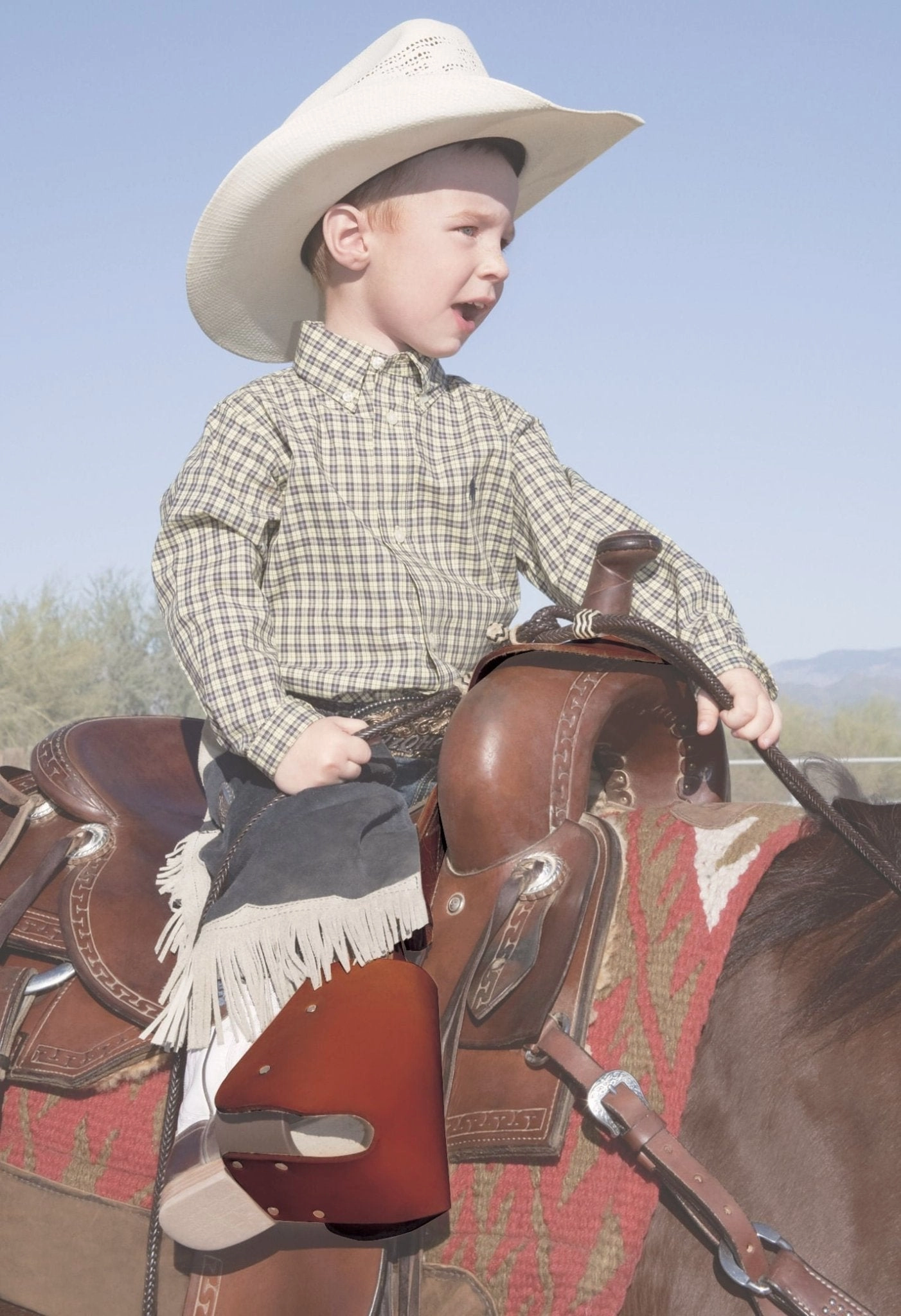 Lil' Dude Stirrups, Sunset