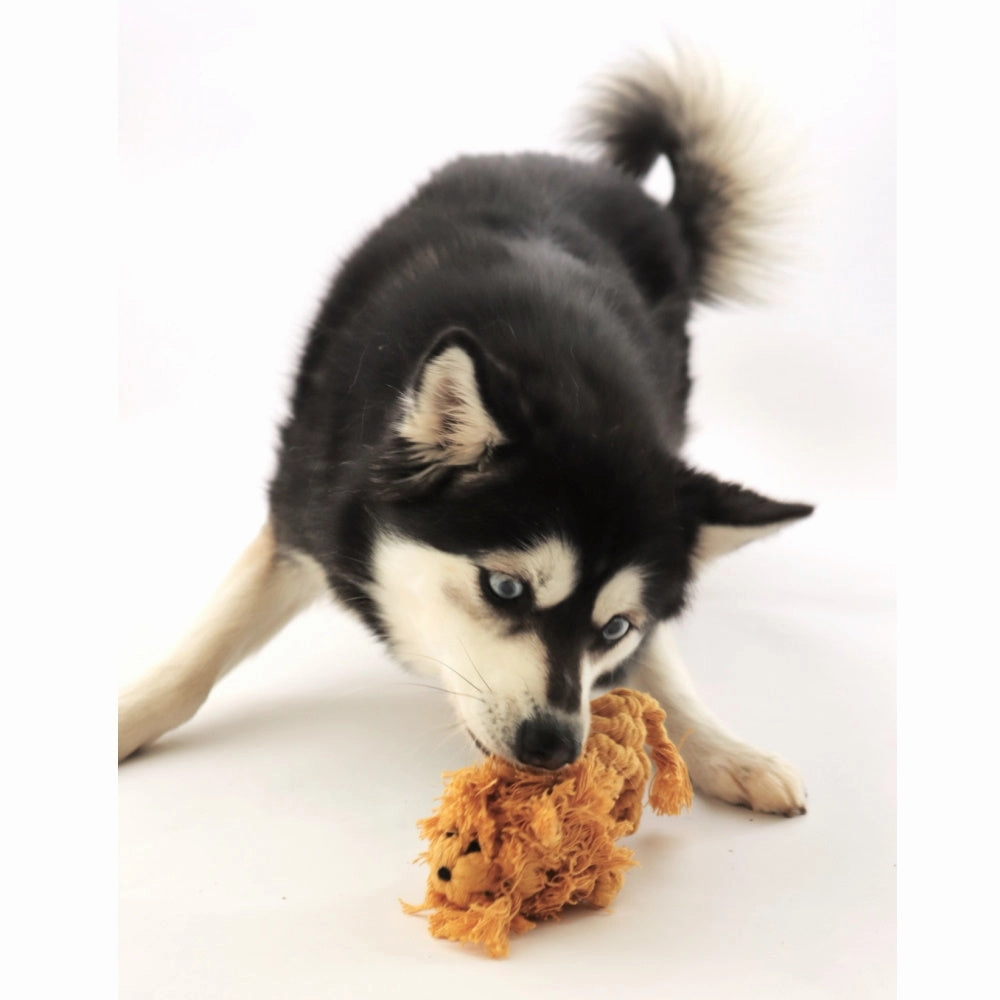 Lion Rope Dog Toy