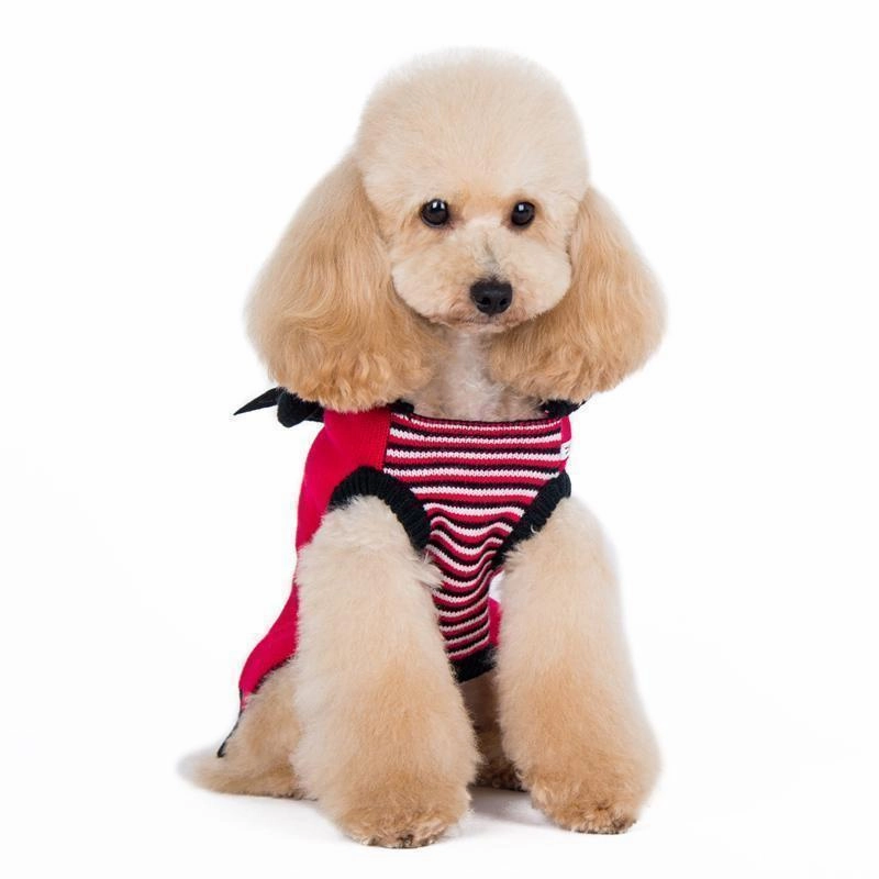 Little Devil Dog Sweater