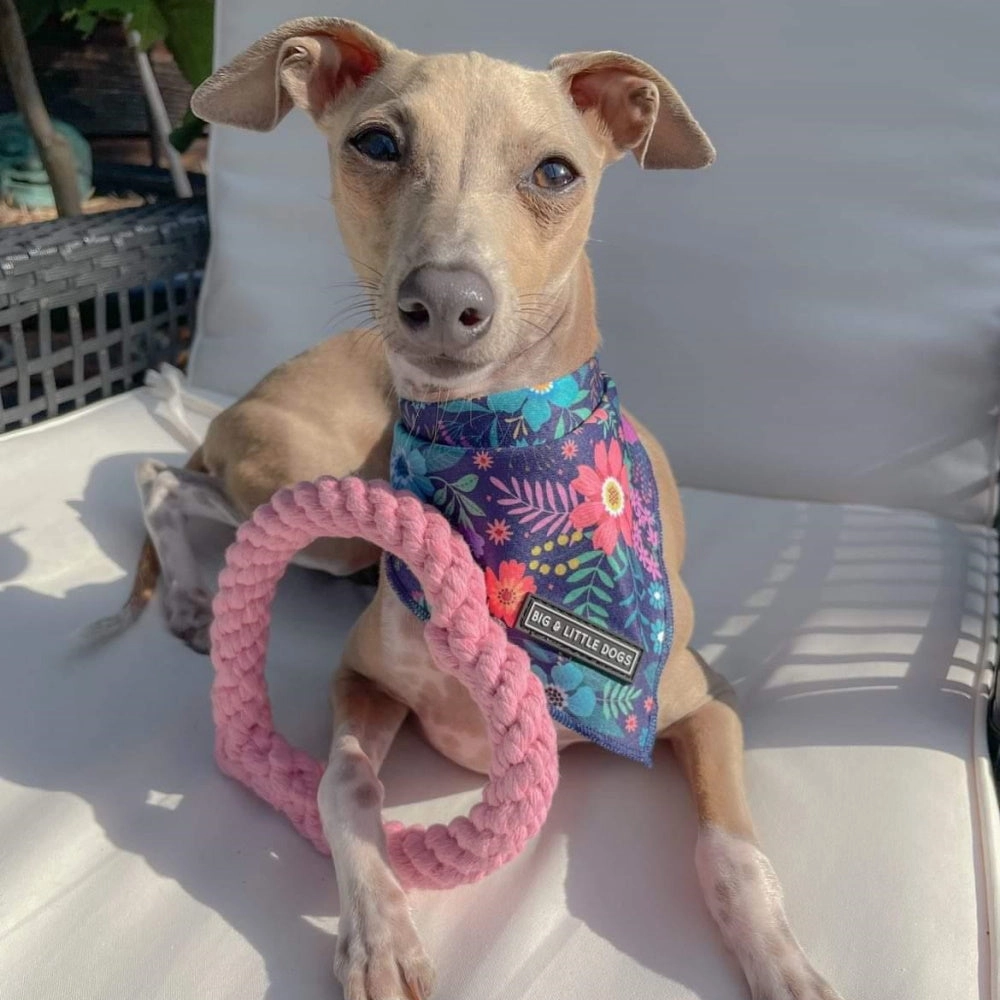 Love Heart Rope Dog Toy