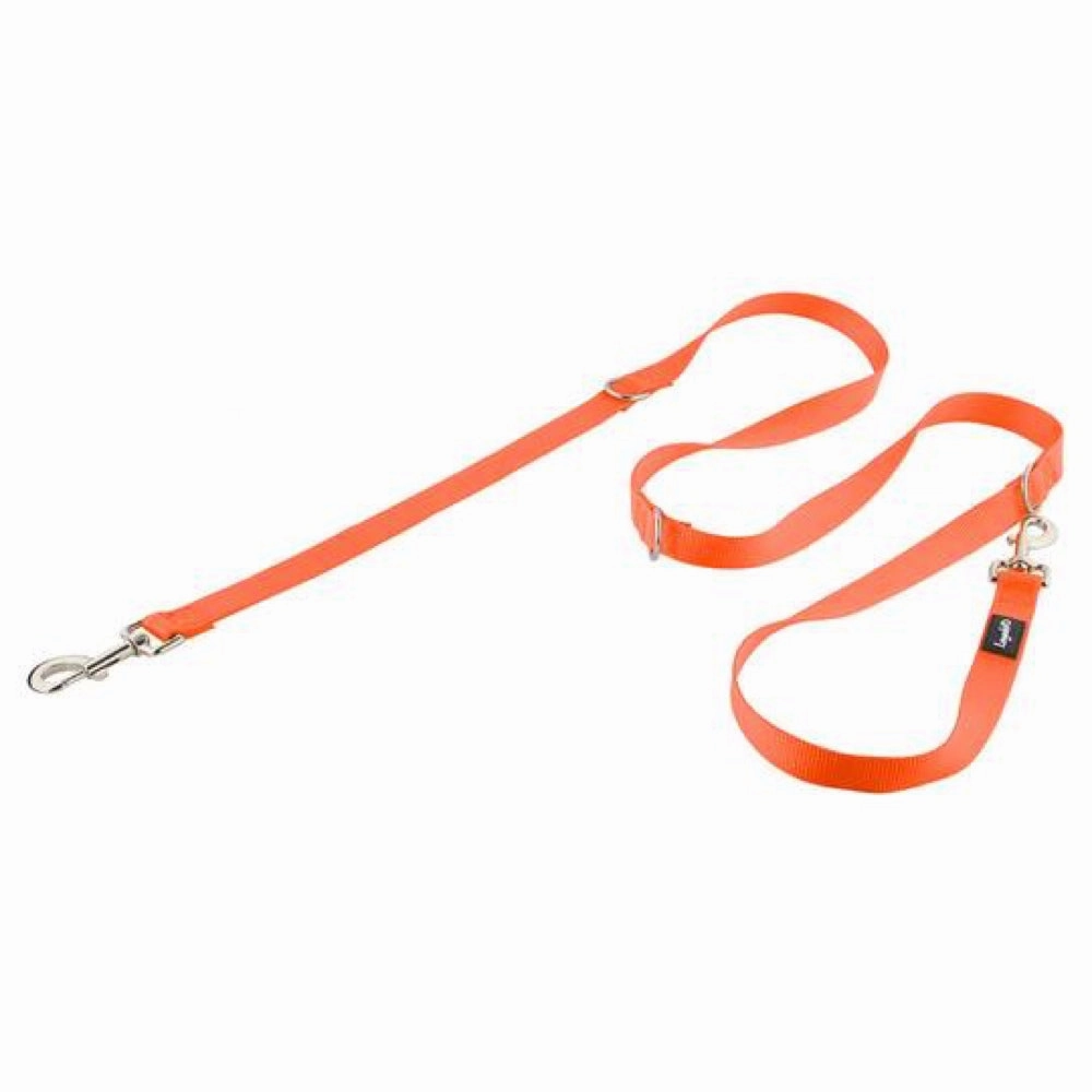 Loyal.D Multi-Purpose.D Dog Leash (Orange) puppy food dog jerky treats dog dental treats dog chicken strips organic dog food