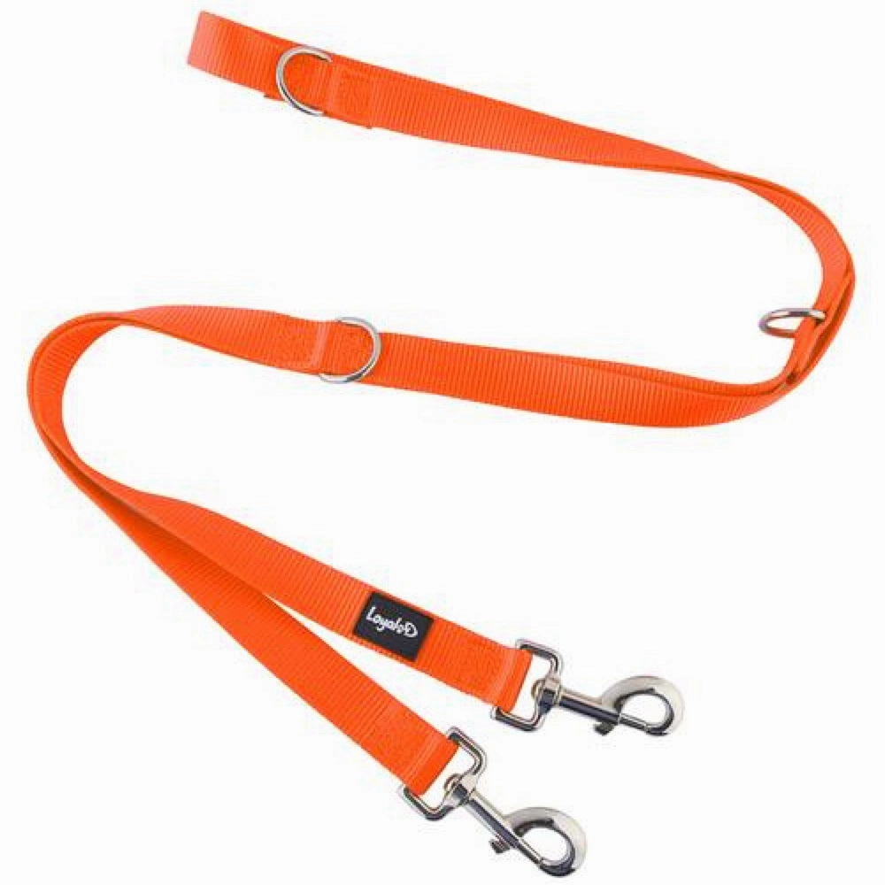 Loyal.D Multi-Purpose.D Dog Leash (Orange)