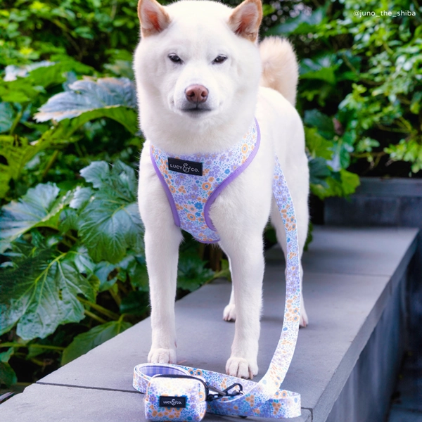Lucy&Co Dog Leash: Among the Wildflowers
