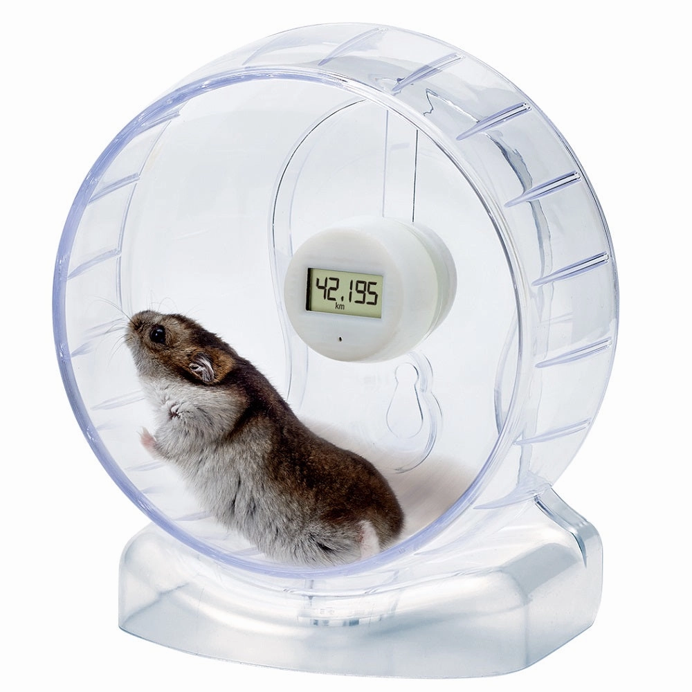 Marukan Clean & Clear Life Clean Wheel with Running Meter for Hamster 15cm (ML321) dog water fountain slow feeder automatic dog feeder gravity feeder dog food dispenser