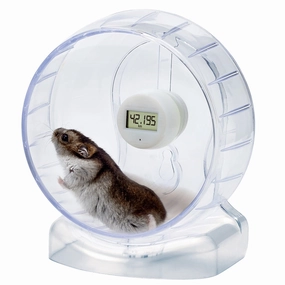 Marukan Clean & Clear Life Clean Wheel with Running Meter for Hamster 15cm (ML321) hamster cage guinea pig supplies small animal accessories rabbit water bottle rat tunnel