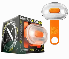 Max & Molly Ultra Bright LED Pet Light - Orange dog accessories dog collar dog leash dog bowtie dog backpack