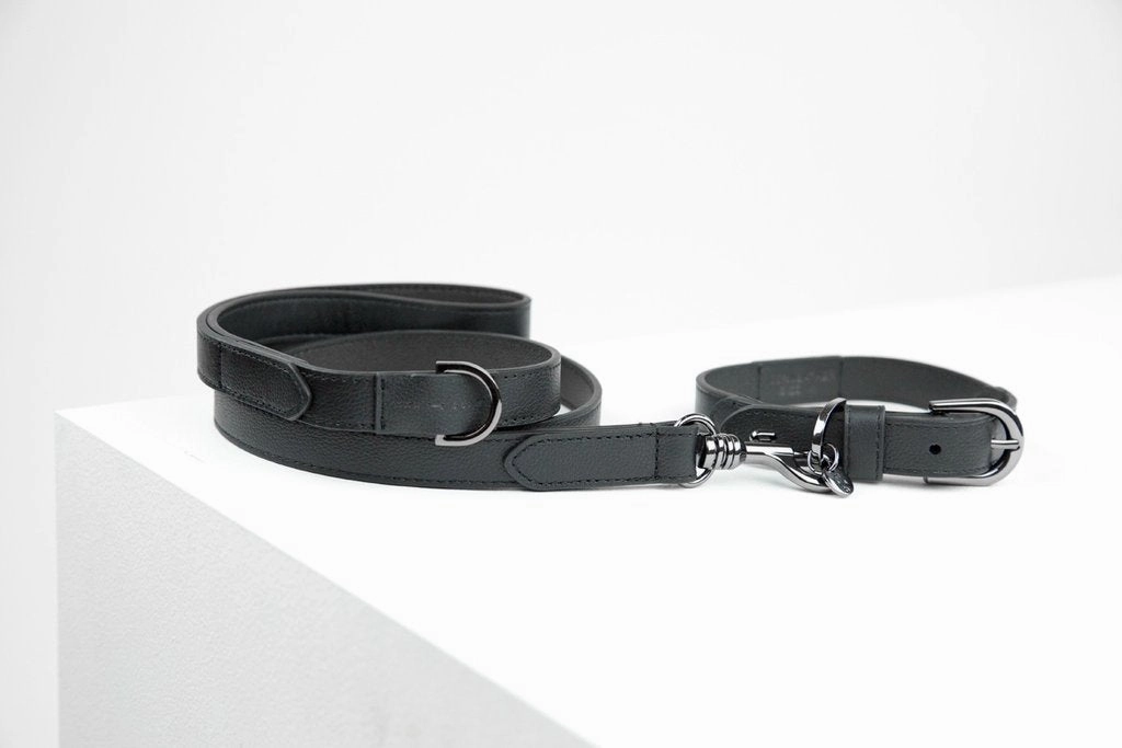 MaxBone Jewel Jet Dog Leash