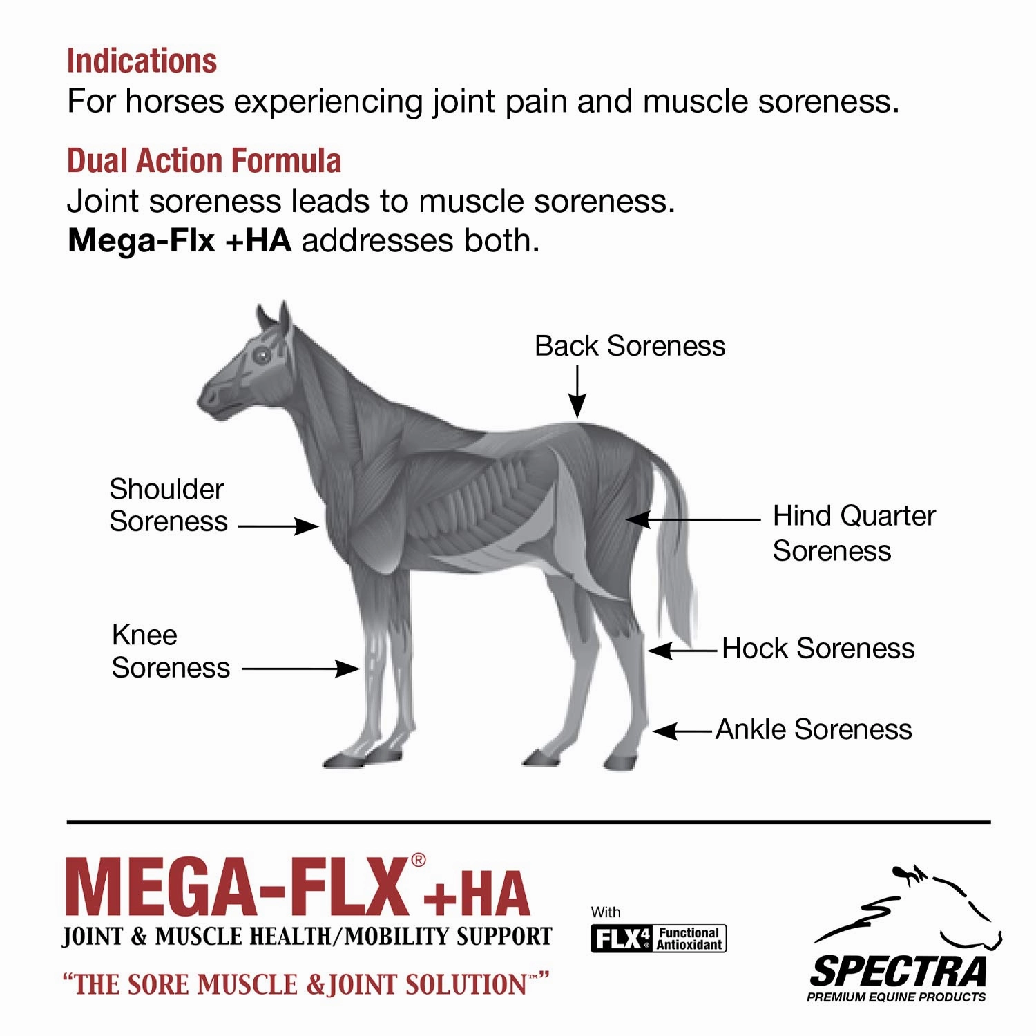 Mega-Flx  HA Equine Joint & Muscle Supplement