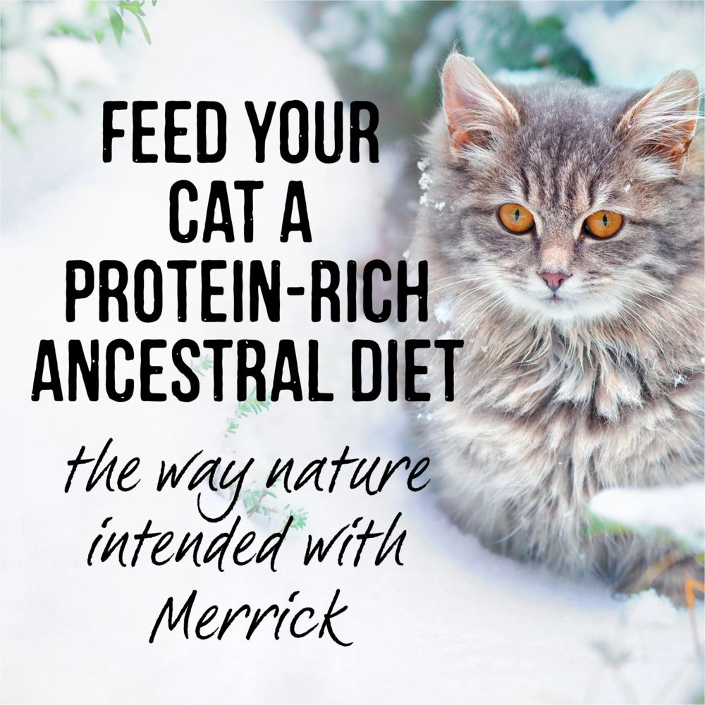 Merrick Backcountry Grain Free Gluten Free Premium High Protein Wet Cat Food, Duck Recipe Cuts With Gravy