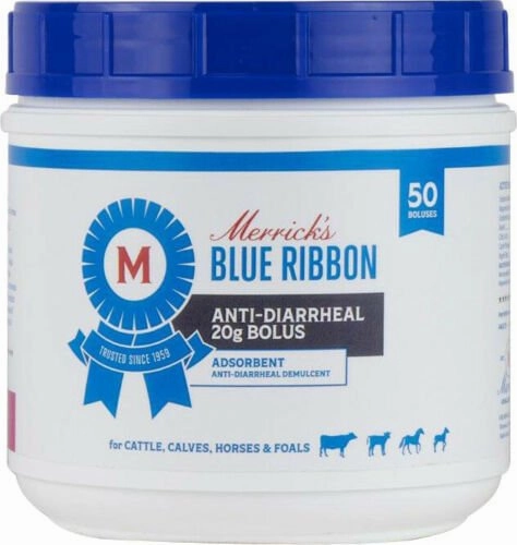 Merrick's Blue Ribbon Anti-Diarrheal Bolus tuff dog toys durable toys for dogs chew tested toys hard chew toy strong plush