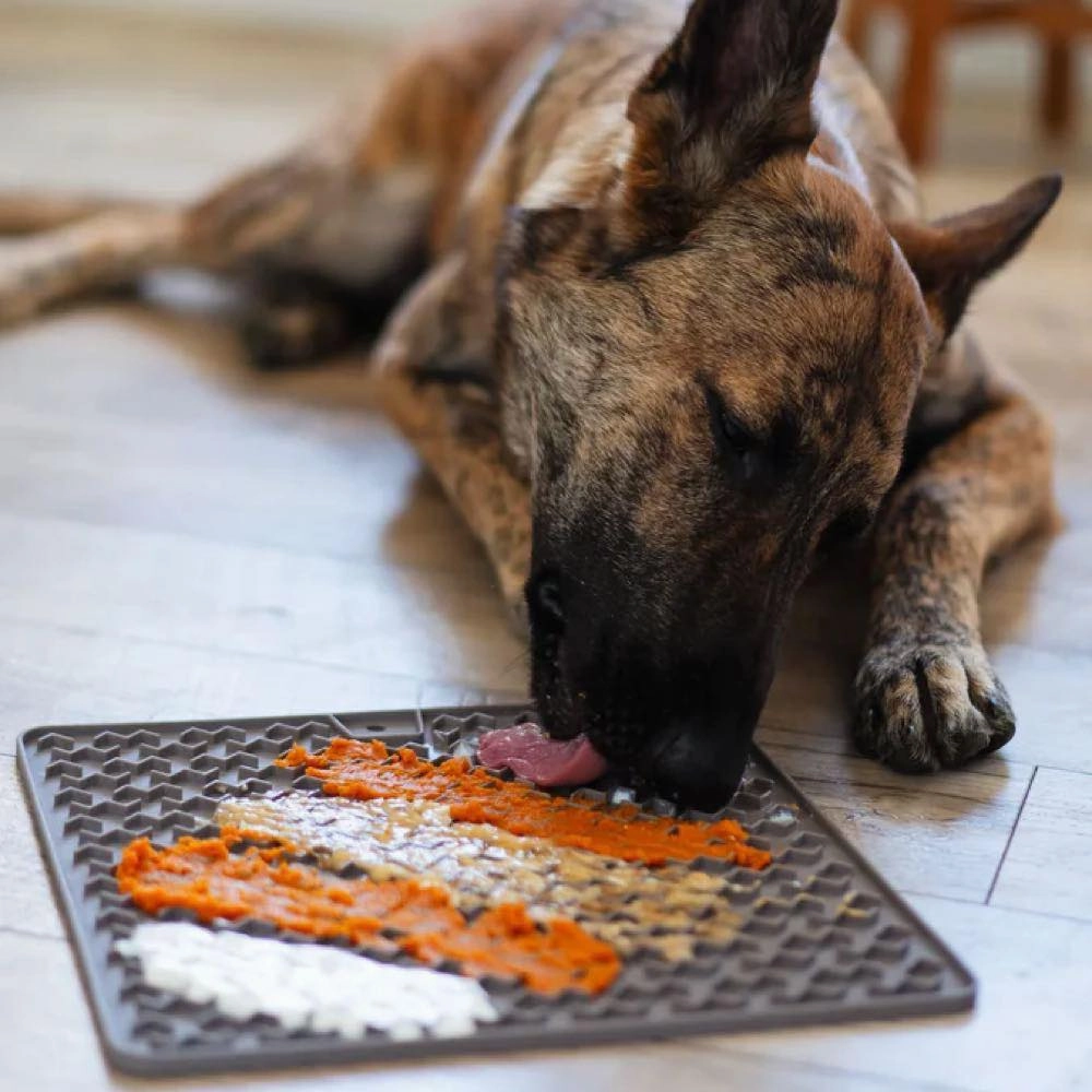 Messy Mutts Silicone Therapeutic Dog Licking Mat (Grey)