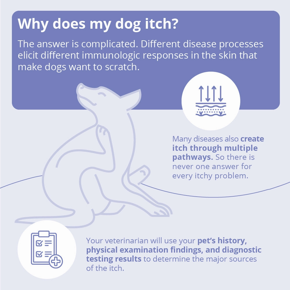 Miconahex  Triz Spray for Dogs, Cats, and Horses