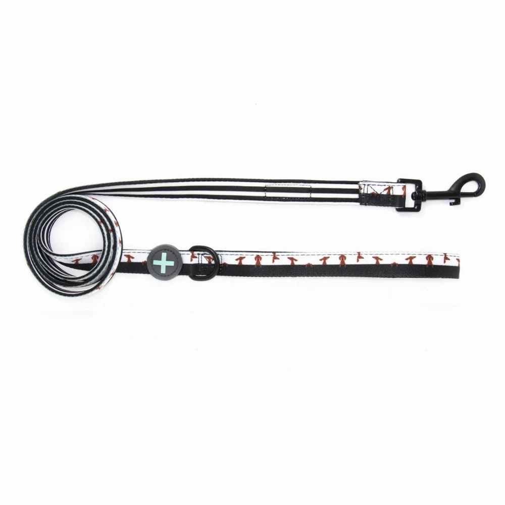 Moo   Twig Leash: Peek-A-Moo