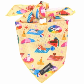 Moo Twig Beach Bums Pet Bandana cat accessories cat collar cat harness cat backpack cat ID tag