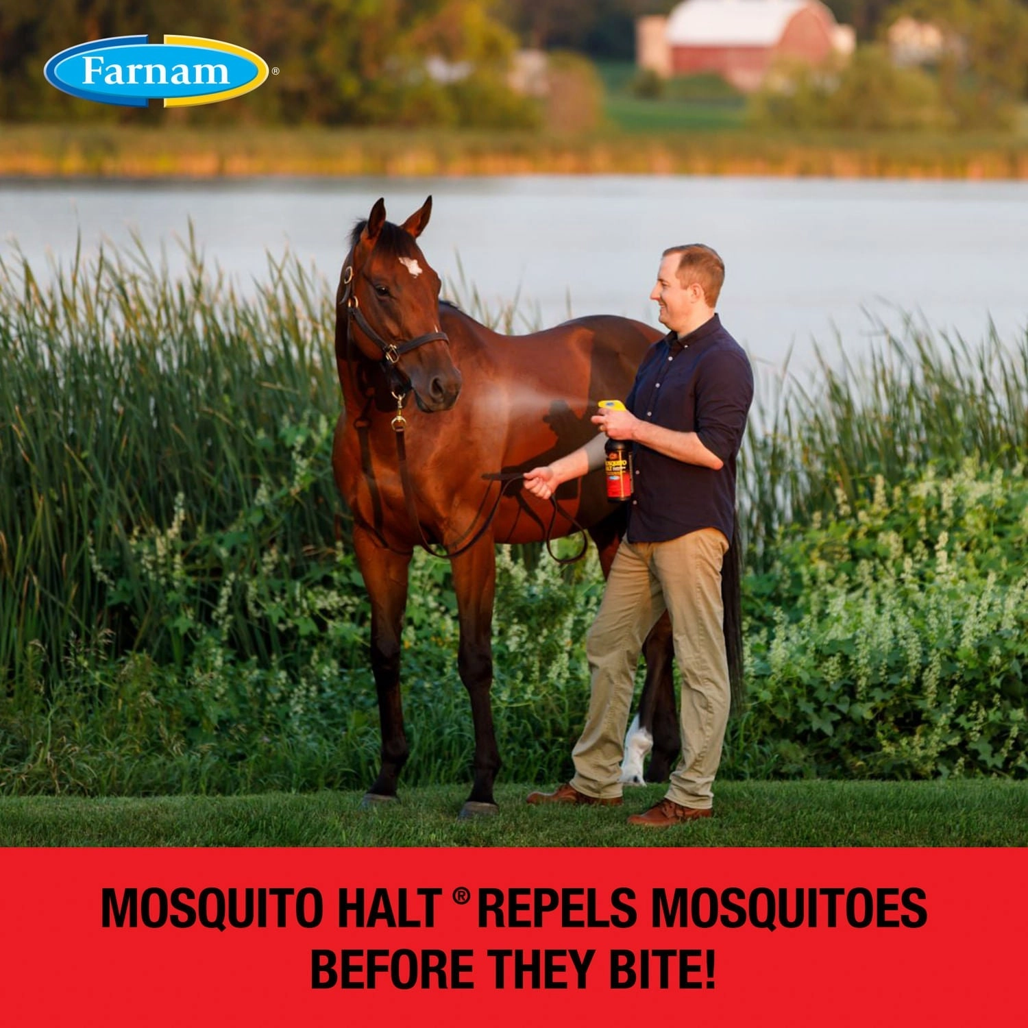 Mosquito Halt Repellent Spray for Horses, 32 oz