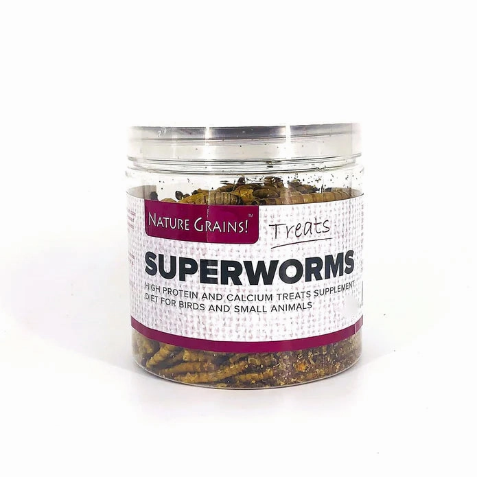Nature Grains Treats Superworms 550ml kitten health kit kitten booster vitamins kid cat immune kitten digestion kitten omega 3