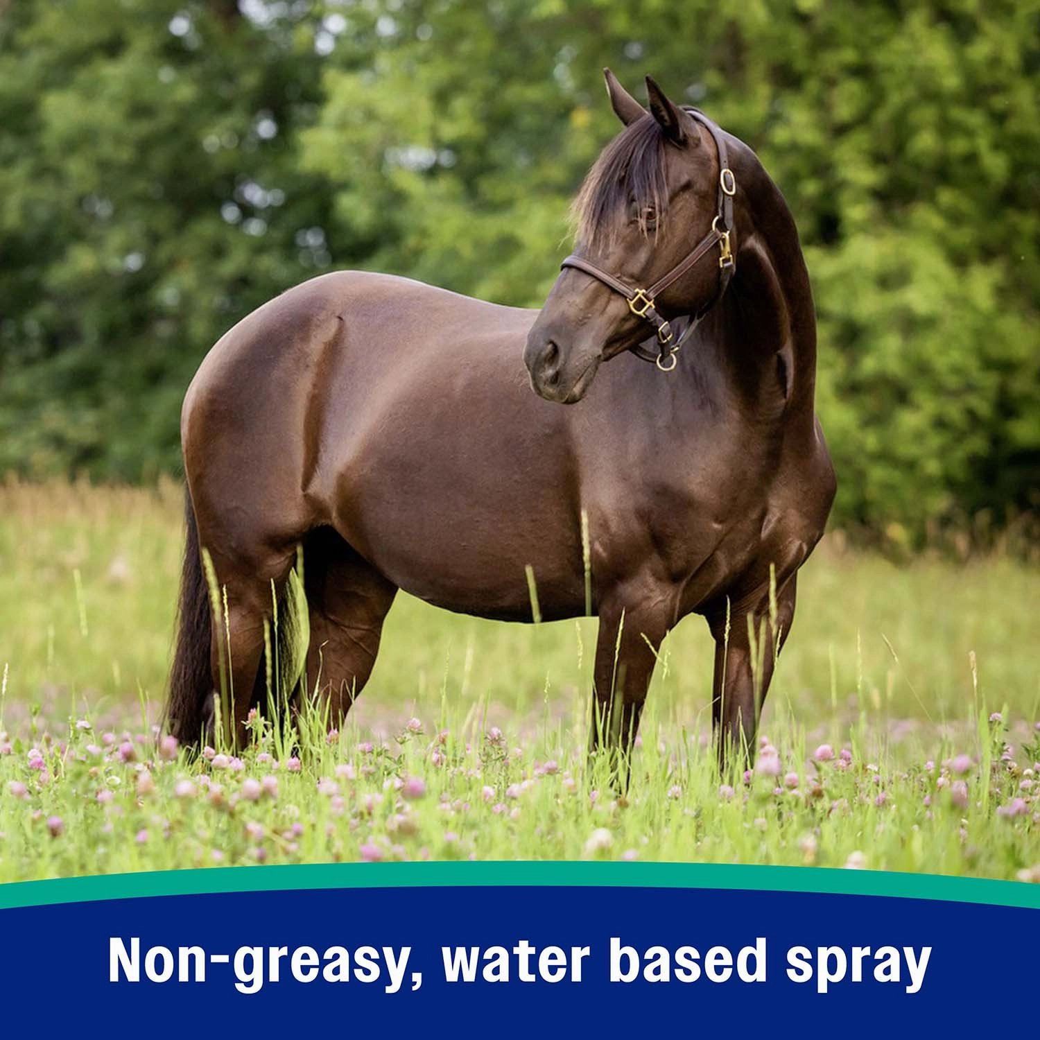 Nature's Defense Fly Repellent Spray