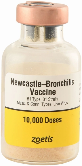 Newcastle-Bronchitis for Chickens puppy accessories new puppy gear puppy bed puppy blanket puppy grooming kit