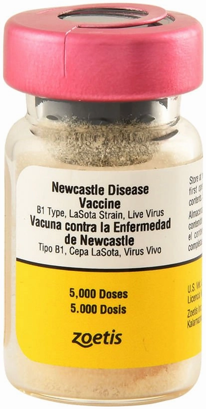 Newcastle Disease Cattle Vaccine - 5,000 Dose puppy accessories new puppy gear puppy bed puppy blanket puppy grooming kit