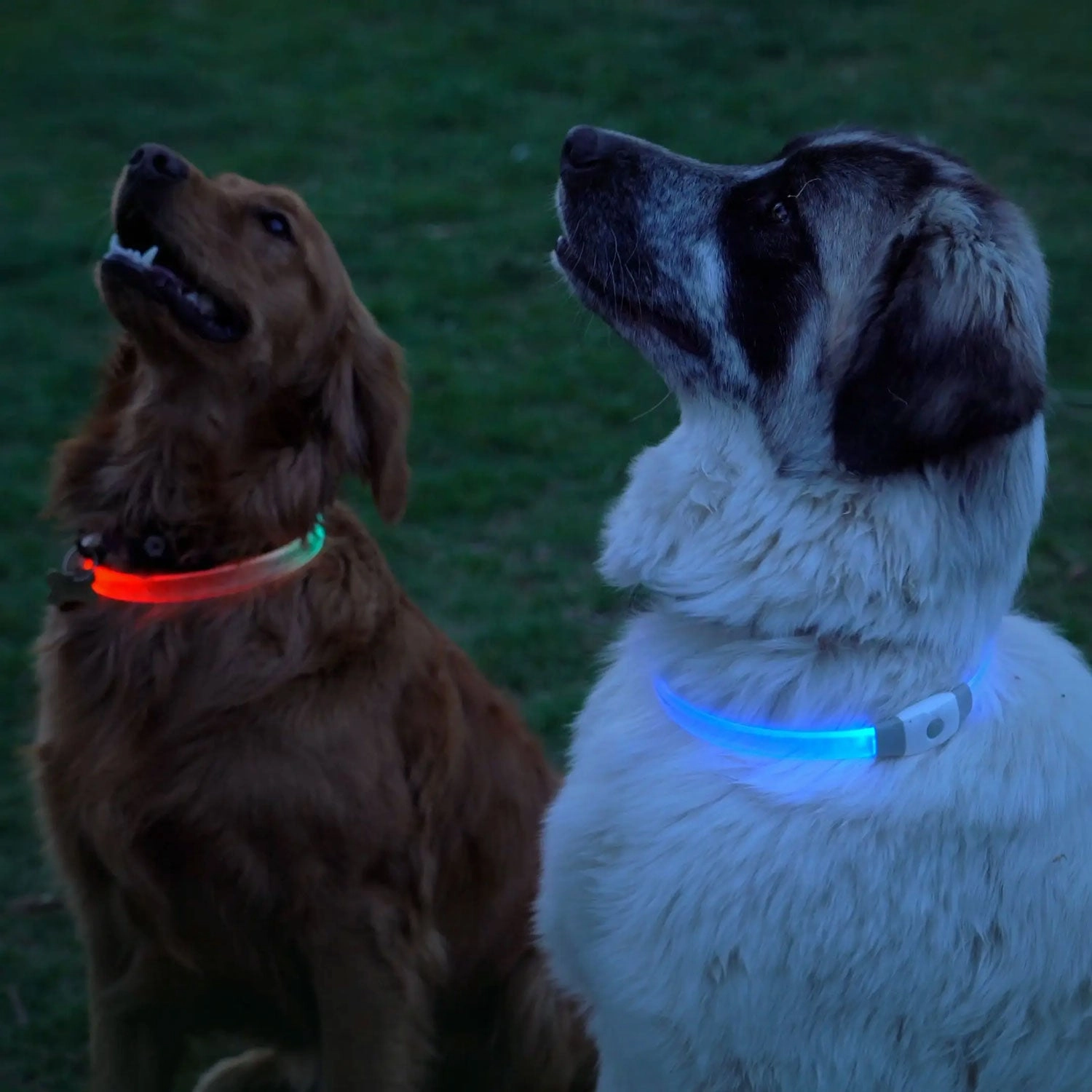 Nite Ize NiteHowl Rechargeable LED Safety Necklace