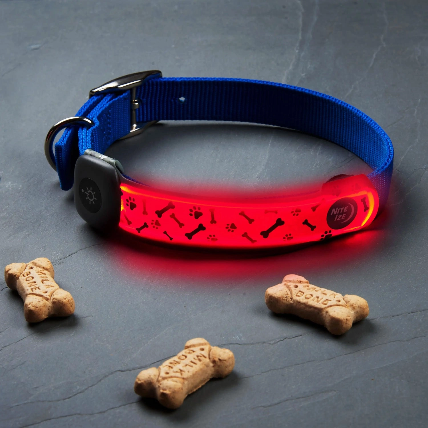 NiteDog Rechargeable LED Collar Cover, Disc-o Select