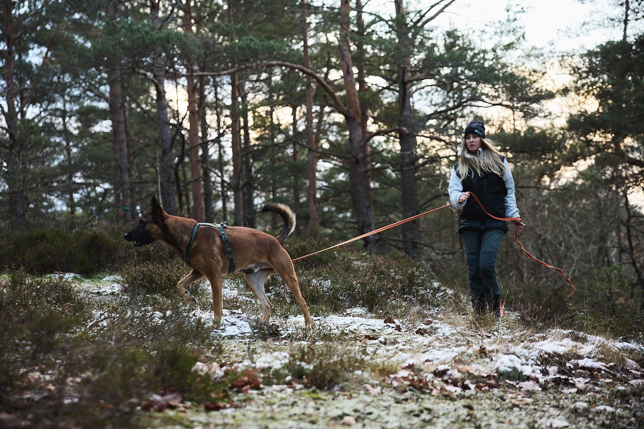 Non-Stop Dog Wear: Friction Long Line 15m and 10m