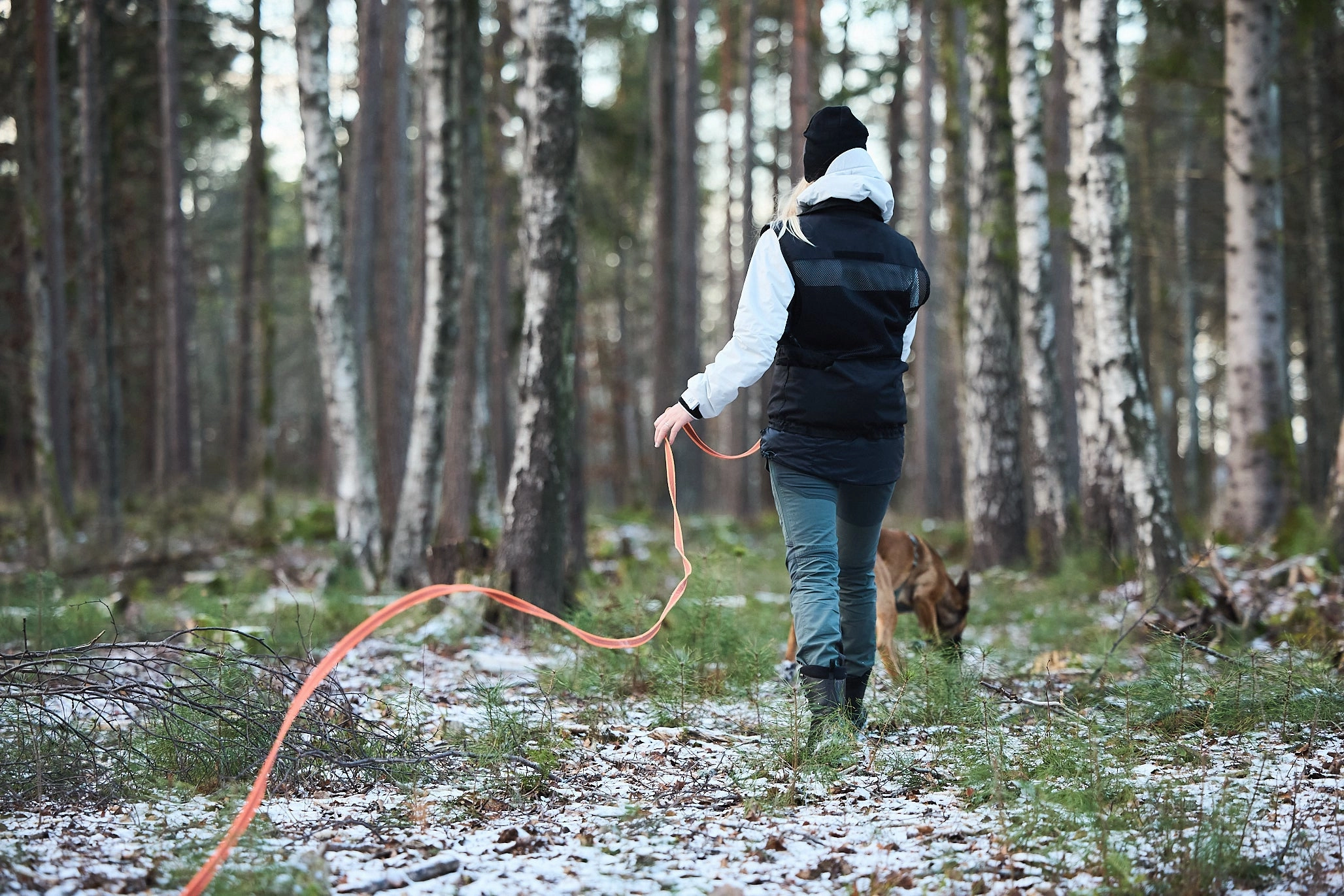 Non-Stop Dog Wear: Friction Long Line 15m and 10m