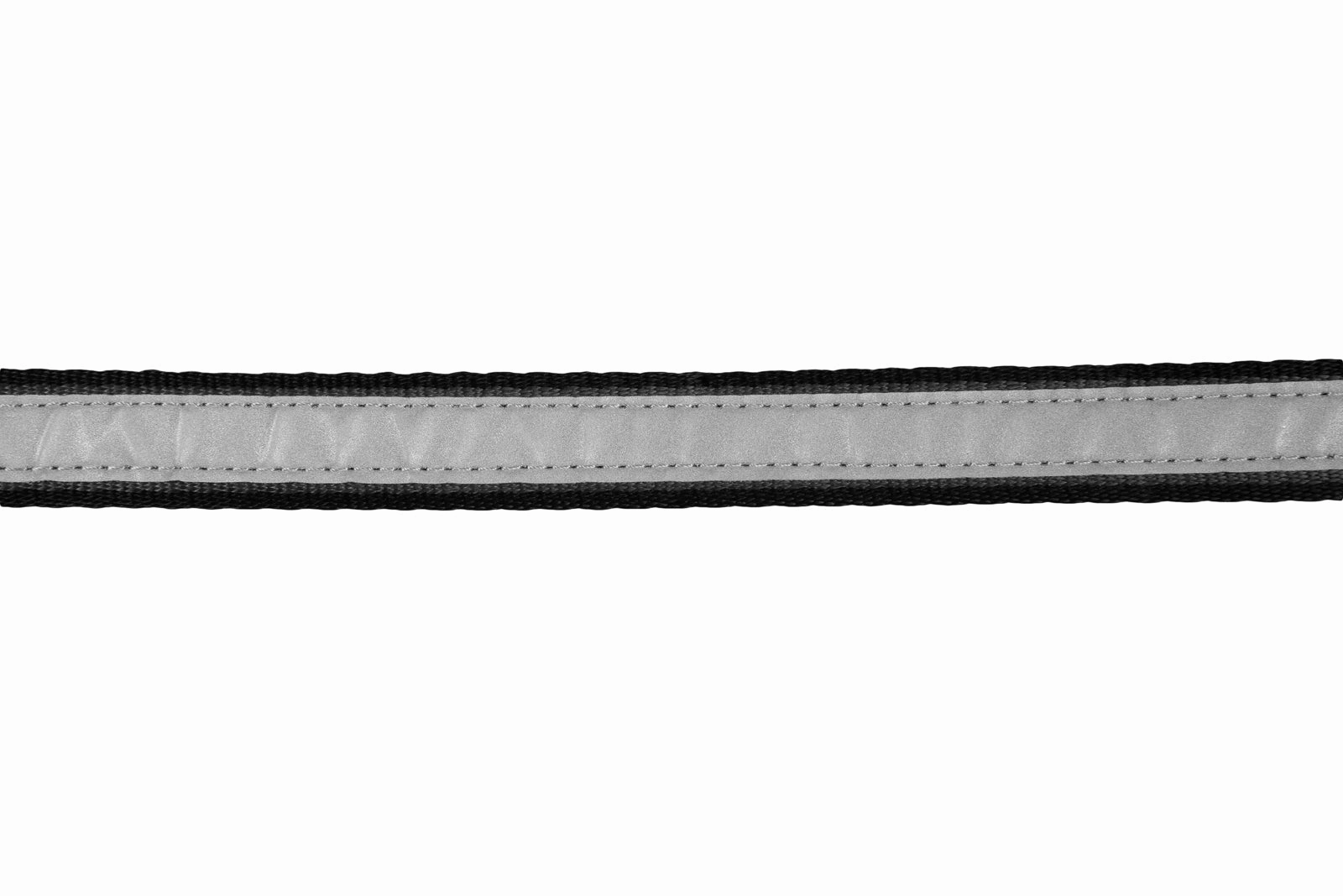 Non-Stop Dog Wear: Move Leash