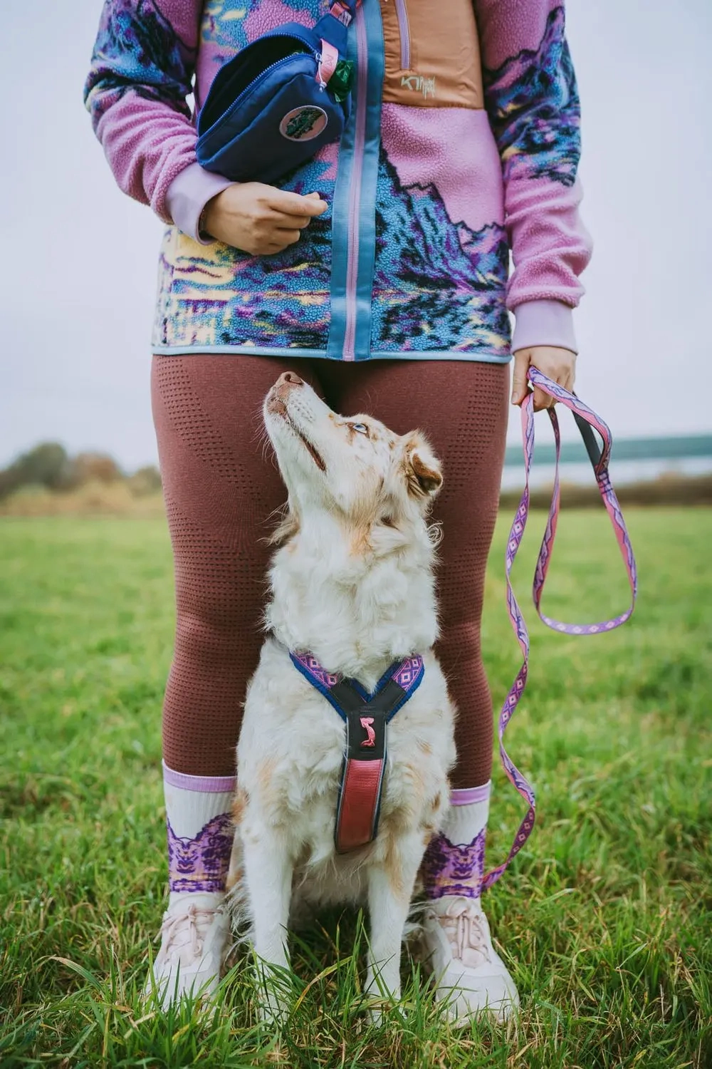Non-Stop Dog Wear: Rachel Pohl Signature Series Trail Quest Leash Pink/Purple