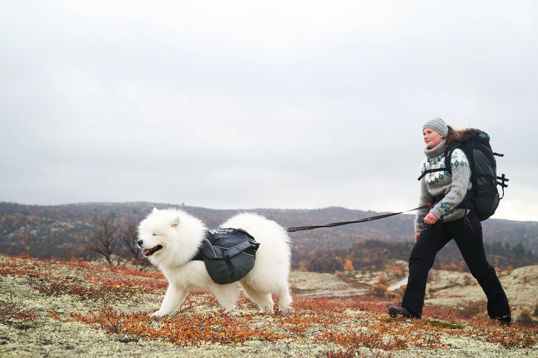 Non-Stop Dog Wear: Touring Bungee Adjustable Dog Leash