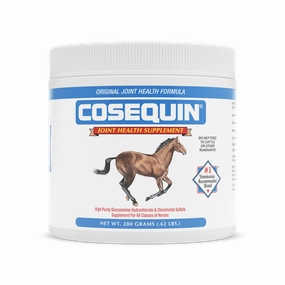 Nutramax Cosequin Original Joint Health Supplement for Horses tuff dog toys durable toys for dogs chew tested toys hard chew toy strong plush