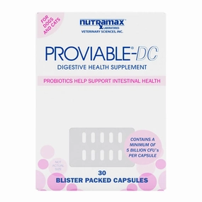 Nutramax Proviable-DC for Dogs & Cats cat beds cat scratching post cat shampoo cat tunnel cat brush
