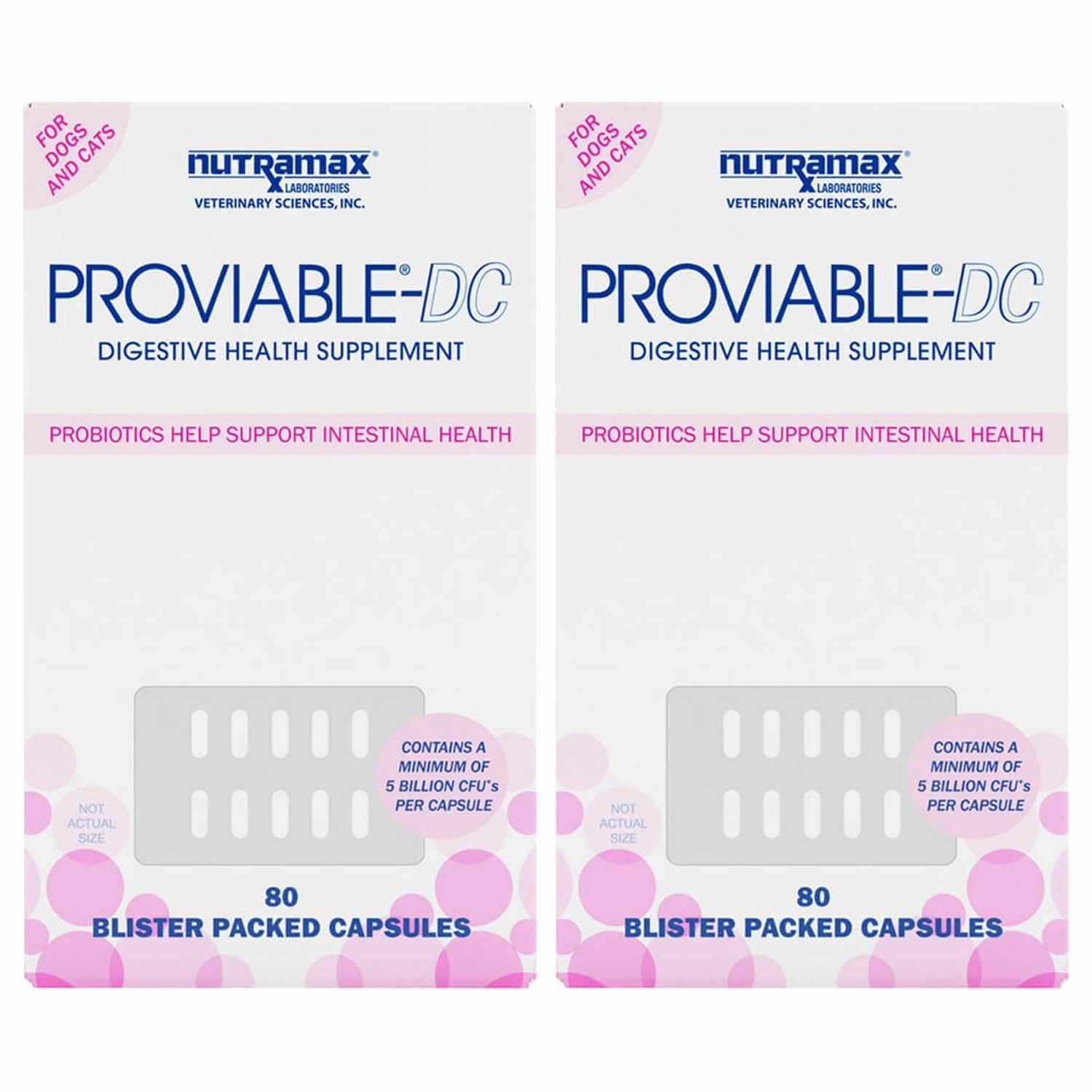 Nutramax Proviable-DC for Dogs & Cats