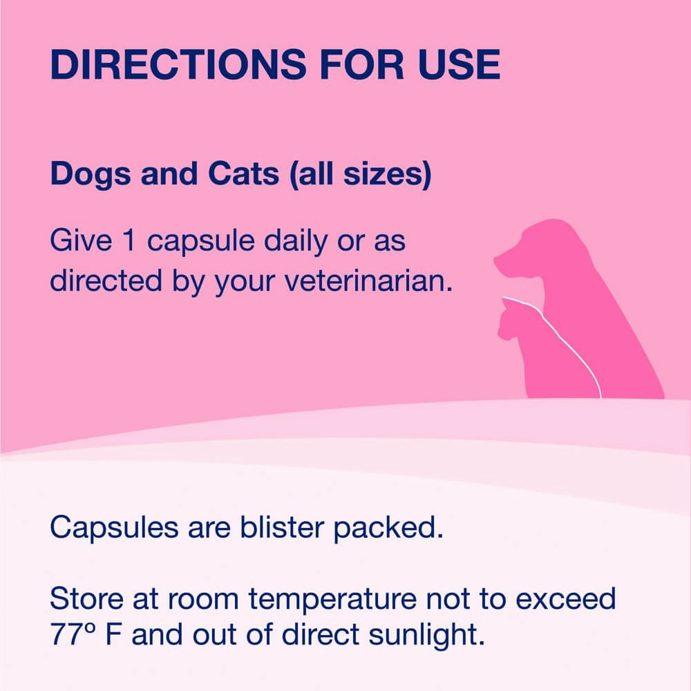 Nutramax Proviable-DC for Dogs & Cats