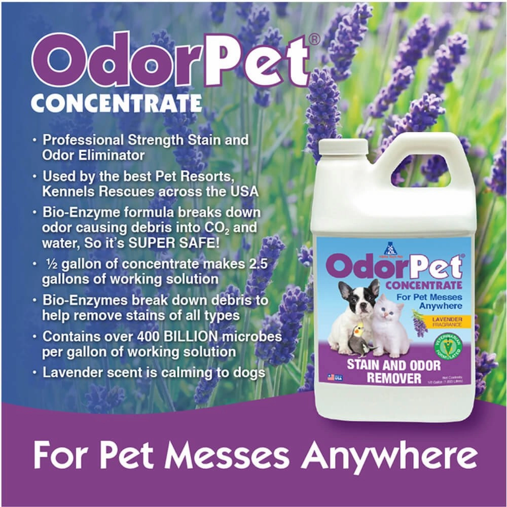 OdorPet Stain and Odor Remover Concentrate,  Gallon