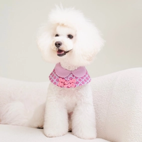 Ohpopdog Dog Cape (Amethyst) grain free dog food natural dog biscuits high protein dog food dog food pack dog meat sticks