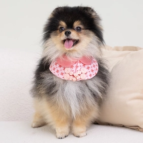 Ohpopdog Dog Cape (Ruby) grain free dog food natural dog biscuits high protein dog food dog food pack dog meat sticks