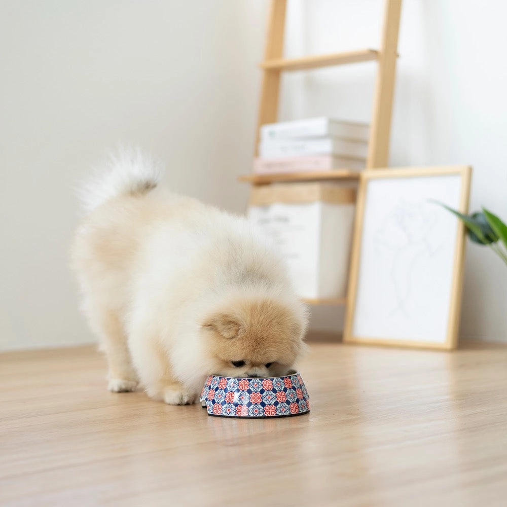 Ohpopdog Heritage Non-Slip Dog Bowl (Royal Blue 150)