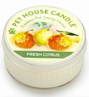 One Fur All Mini Candle Fresh Citrus dog pain relief hip joint supplement senior dog care pet arthritis aid dog skin supplement