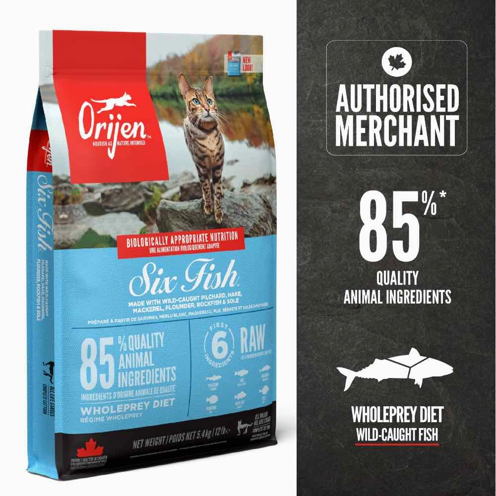 ORIJEN Six Fish Grain-Free Dry Cat Food natural cat food soft cat treats freeze dried cat food organic cat treats indoor cat food