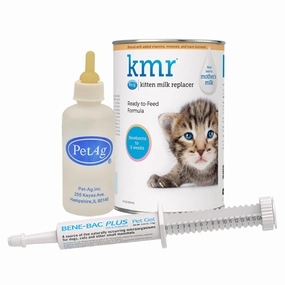Orphaned Kitten Kit cat scratchers cat towers cat window perch cat heating pad cat calming spray