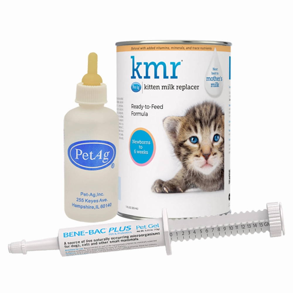 Orphaned Kitten Kit cat scratchers cat towers cat window perch cat heating pad cat calming spray