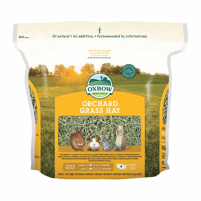Oxbow Orchard Grass Hay 40oz puppy starter kit puppy crate puppy collar puppy pee pad puppy food