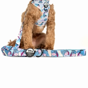 Pablo & Co Eeyore: Dog Leash small animal food rabbit pellets hamster food guinea pig snacks small pet mix