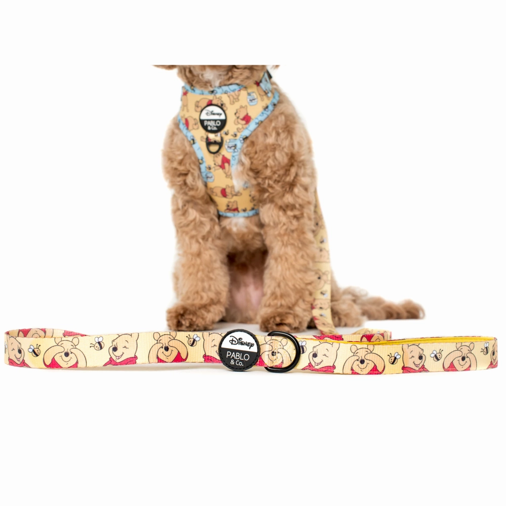 Pablo & Co Winnie the Pooh & Bee's: Dog Leash